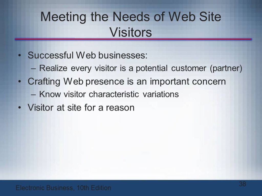 Meeting the Needs of Web Site Visitors Successful Web businesses: Realize every visitor is